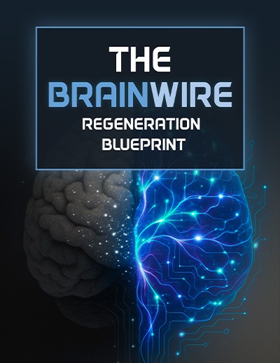 The Brainwire Regeneration Blueprint — eBook (Instant Download)